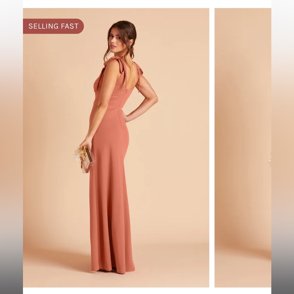 Birdy Grey Alex Terracotta Bridesmaid dress
